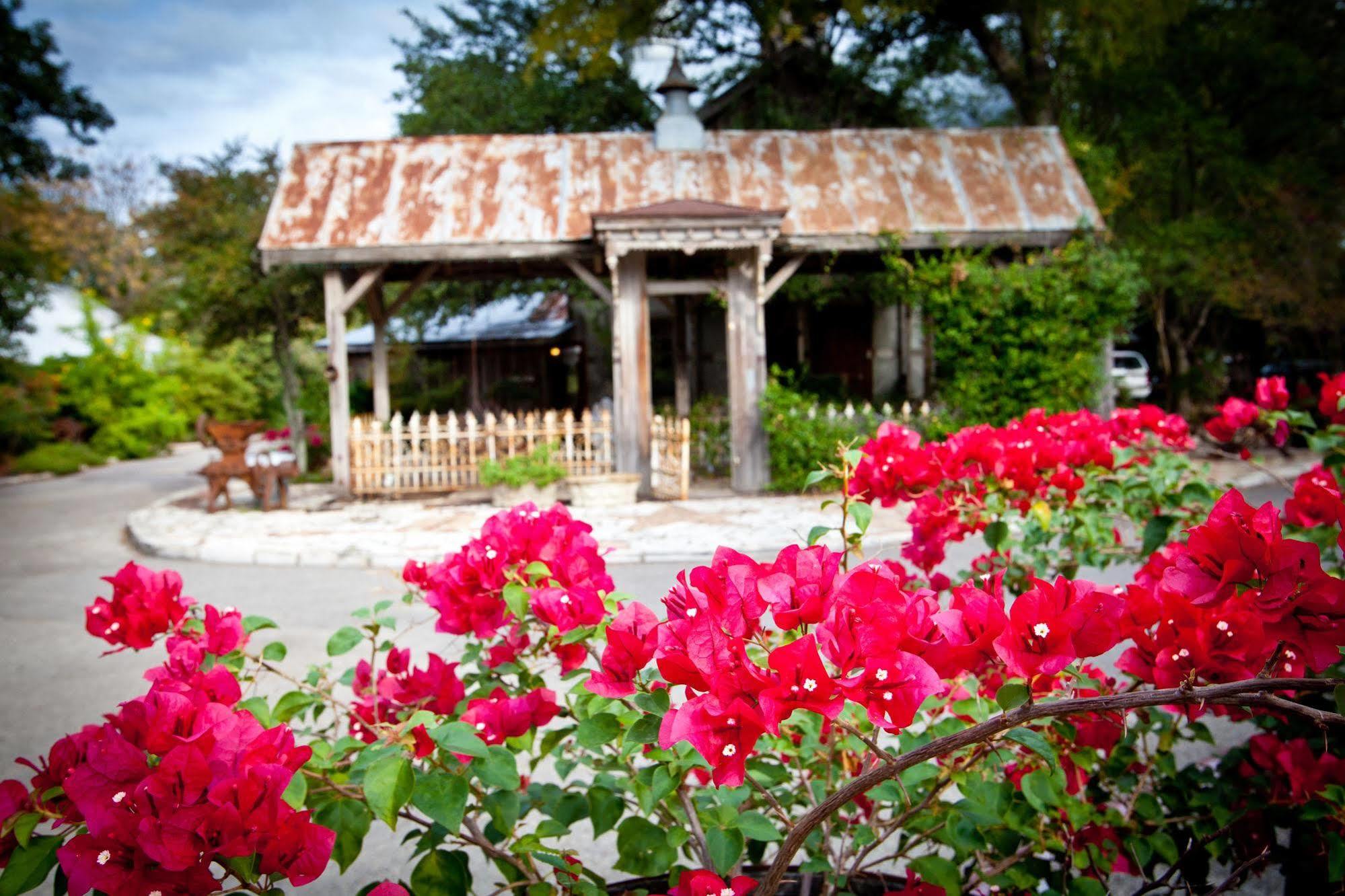 Gruene Mansion Inn New Braunfels Kültér fotó